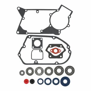 SET SKF-Kugellager, LYO-Wellendichtringe, Dichtungssatz +...